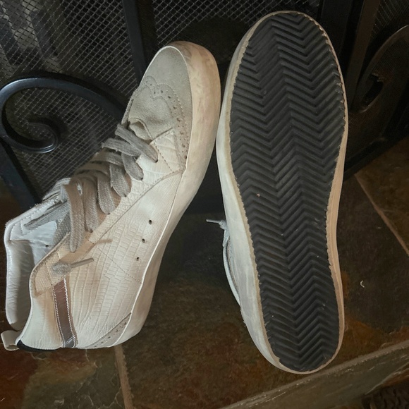 Golden goose - Picture 1 of 4